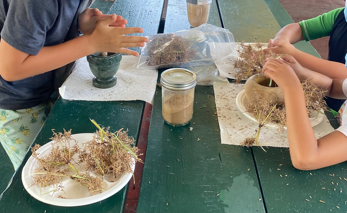 HUIPŪ ME LĀʻAU!  SUMMER Break Keiki Day Workshops - 1 week registration