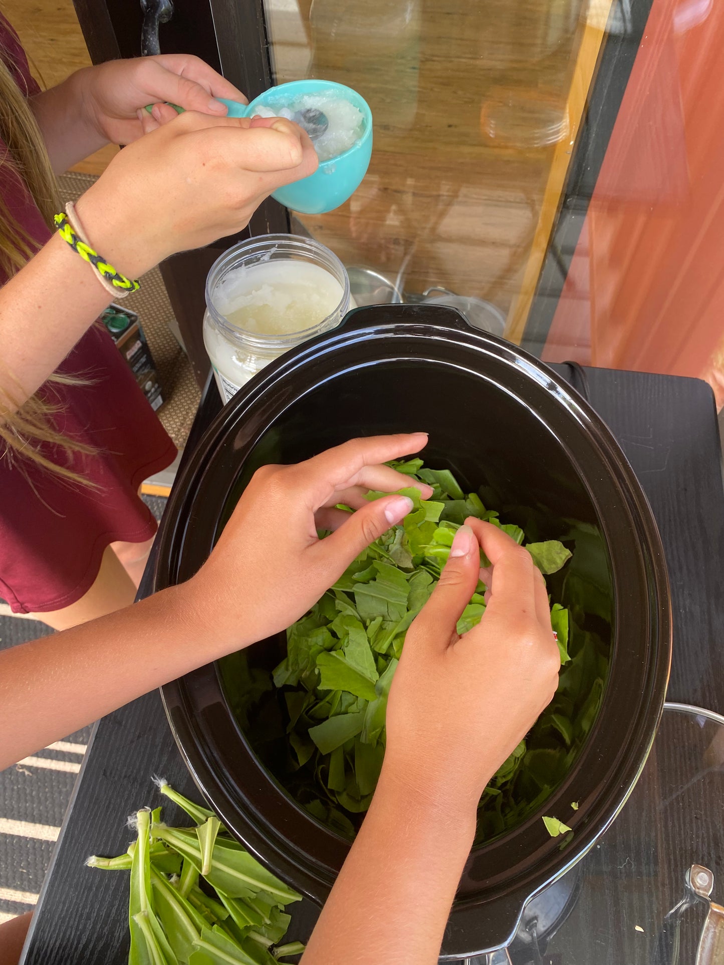 HUIPŪ ME LĀʻAU!  SUMMER Break Keiki Day Workshops - 1 week registration