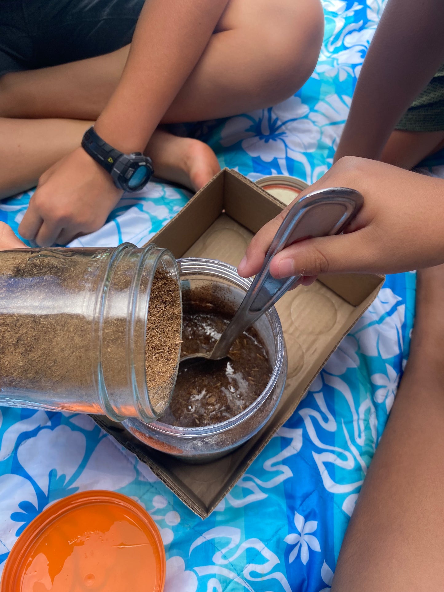 HUIPŪ ME LĀʻAU!  SUMMER Break Keiki Day Workshops - 1 week registration