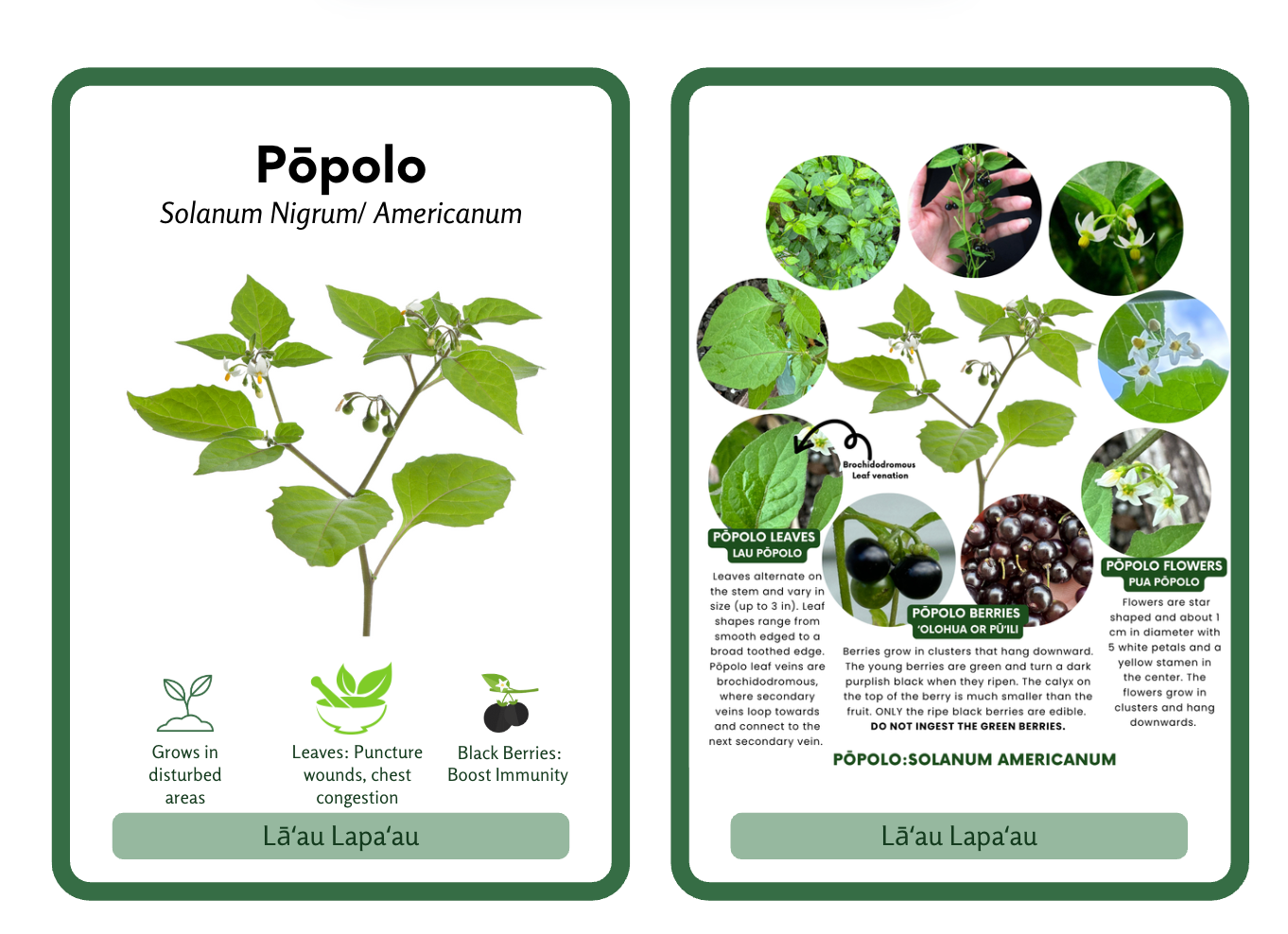 Pōpolo Identification Card