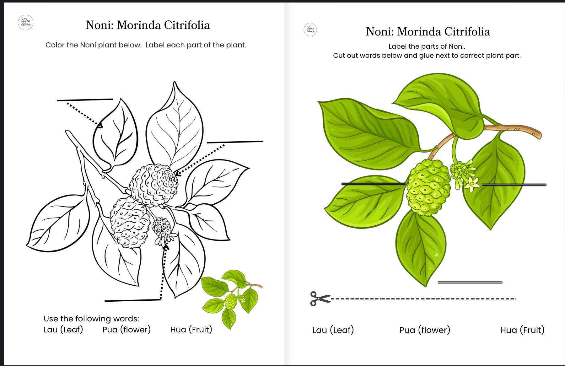 Noni Makua & Kumu Resource Book