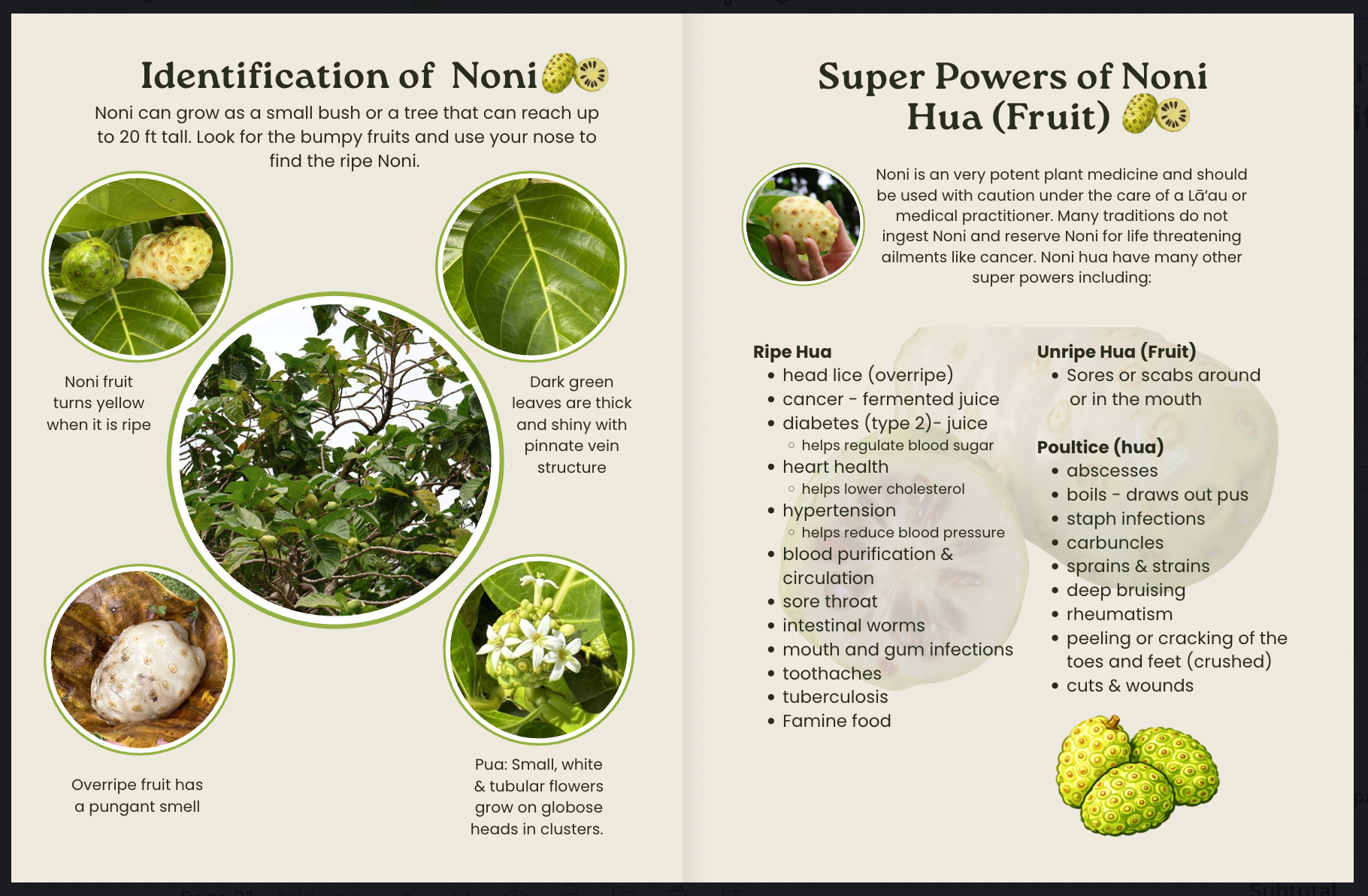 Noni Makua & Kumu Resource Book